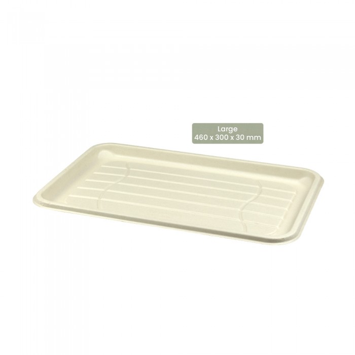 BIO Cateringplatte eckig für Kaltes und Warmes BePULP 104-05-0139