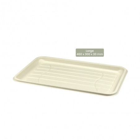 BIO Cateringplatte eckig für Kaltes und Warmes BePULP 104-05-0139