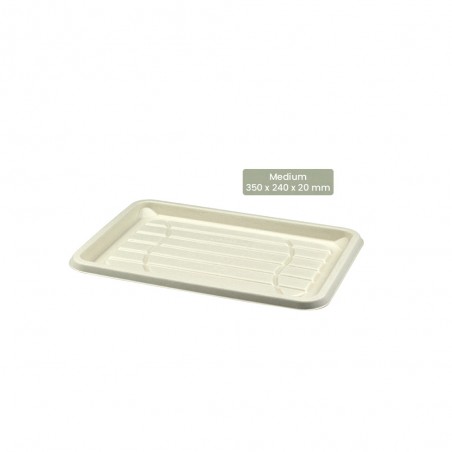 BIO Cateringplatte eckig für Kaltes und Warmes BePULP 104-05-0138