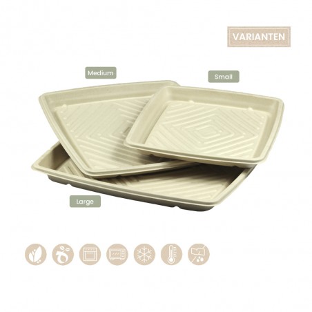 BIO Catering-Platte quadratisch für Kaltes und Warmes BePULP 104-05-0187, 104-05-0155, 104-05-1056