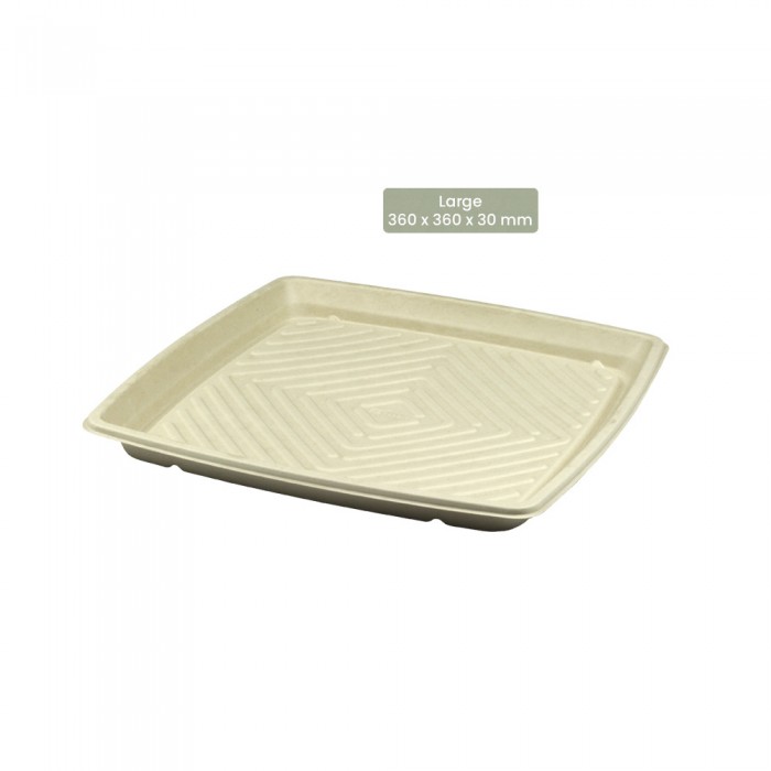 BIO Catering-Platte quadratisch für Kaltes und Warmes BePULP Large 104-05-1056