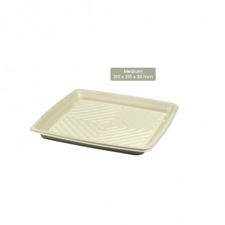 BIO Catering-Platte quadratisch für Kaltes und Warmes BePULP Medium 104-05-0155