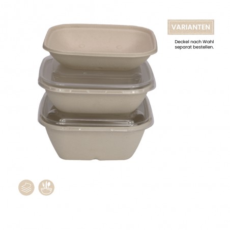 BIO Menüschale quadratisch für Kalte & Warmes (PULP) 104-01-0140, 104-05-0140, 104-01-0141 mit PP und rPET Deckel